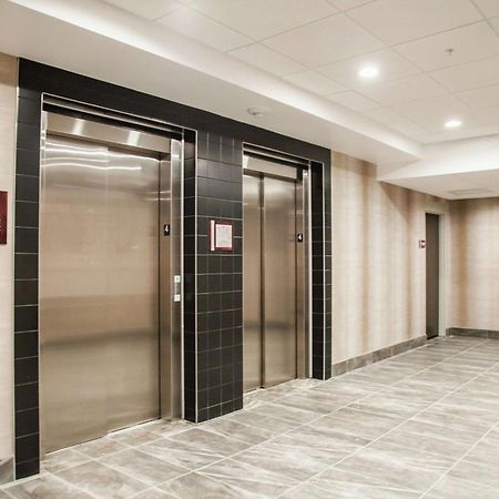 Hilton Garden Inn Tampa Suncoast Parkway Lutz Exterior photo