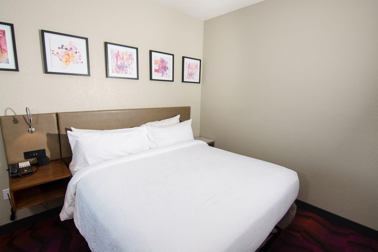 Hilton Garden Inn Tampa Suncoast Parkway Lutz Exterior photo