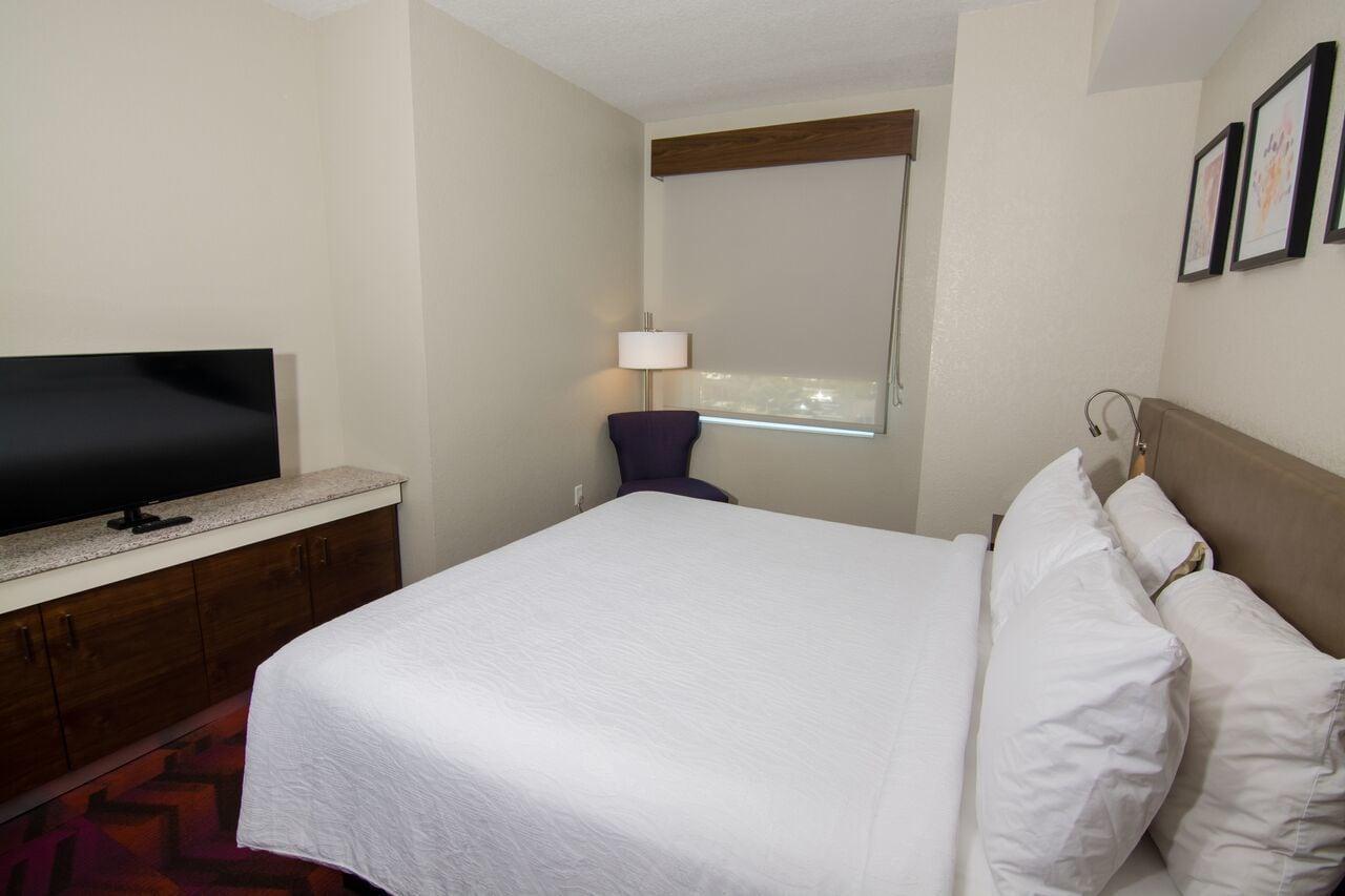 Hilton Garden Inn Tampa Suncoast Parkway Lutz Exterior photo