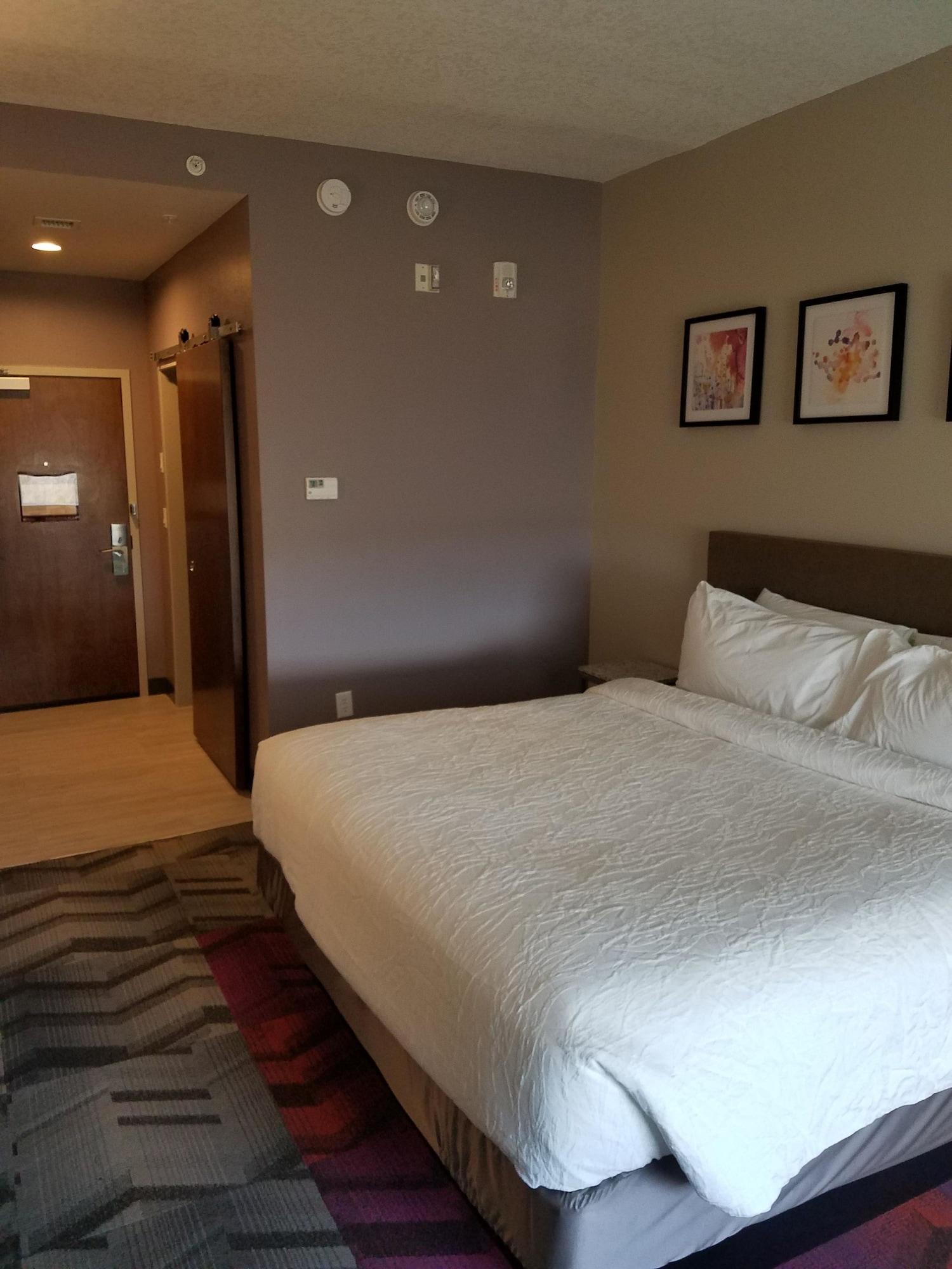 Hilton Garden Inn Tampa Suncoast Parkway Lutz Exterior photo