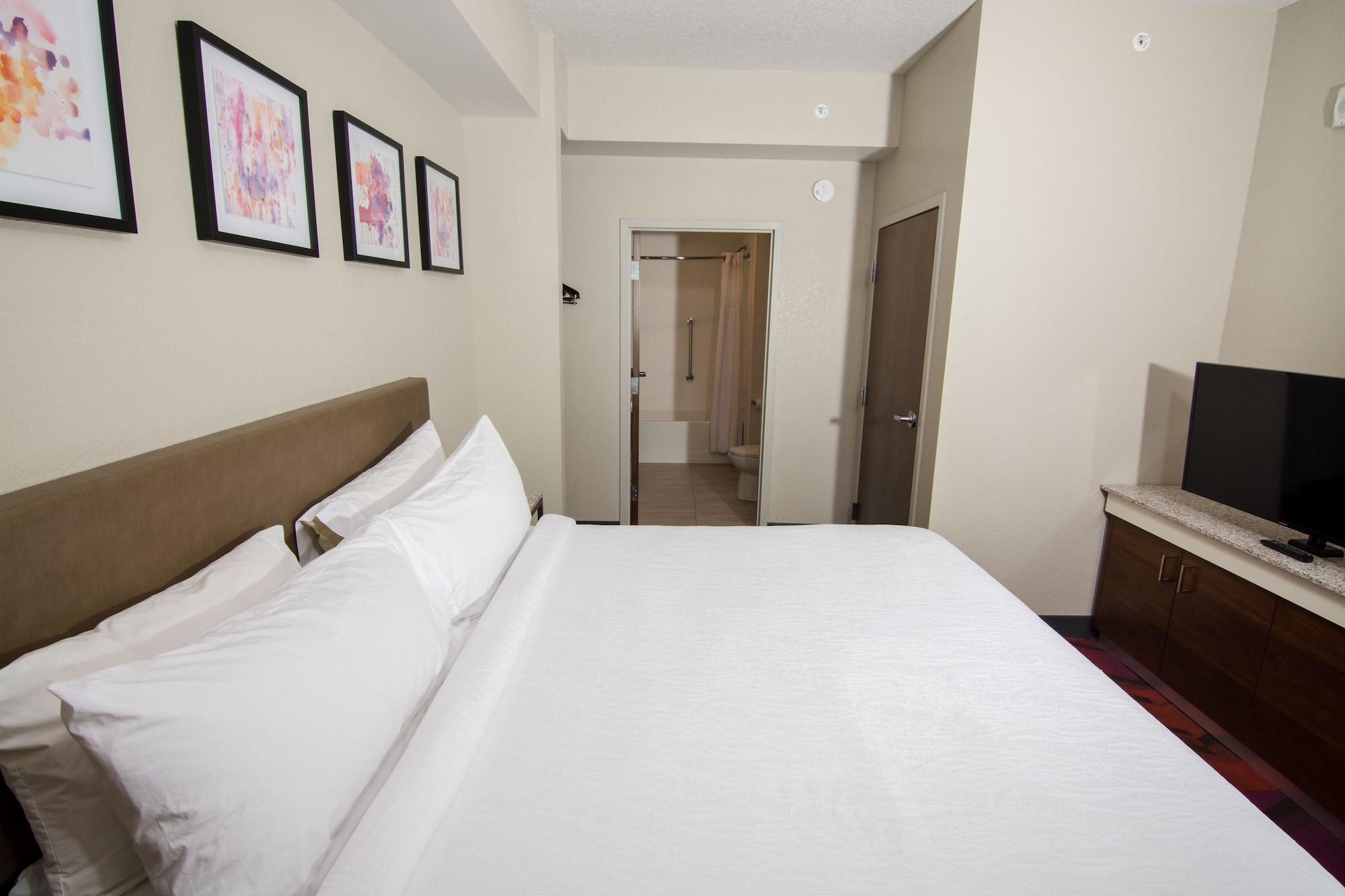 Hilton Garden Inn Tampa Suncoast Parkway Lutz Exterior photo