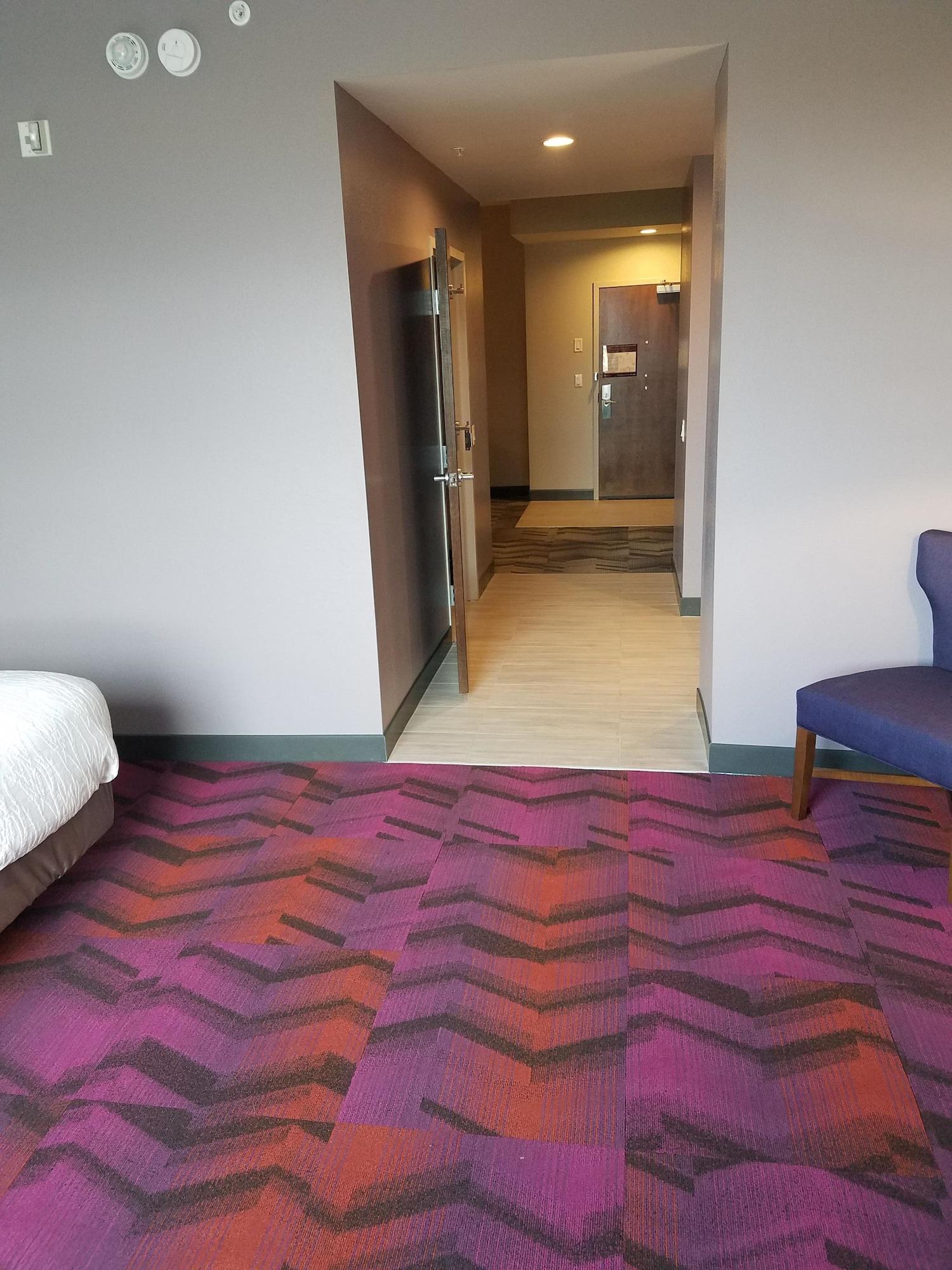 Hilton Garden Inn Tampa Suncoast Parkway Lutz Exterior photo