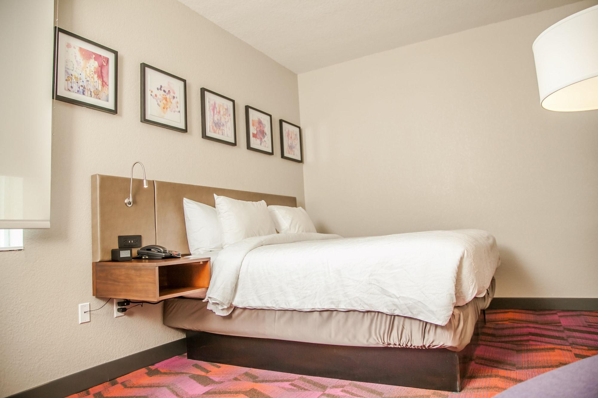 Hilton Garden Inn Tampa Suncoast Parkway Lutz Exterior photo