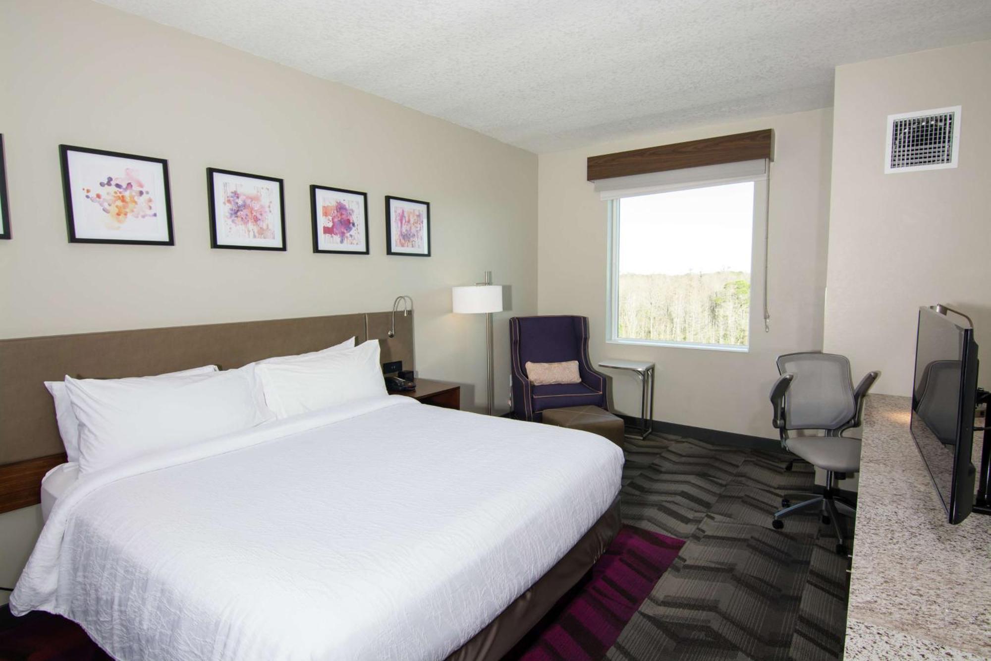 Hilton Garden Inn Tampa Suncoast Parkway Lutz Exterior photo