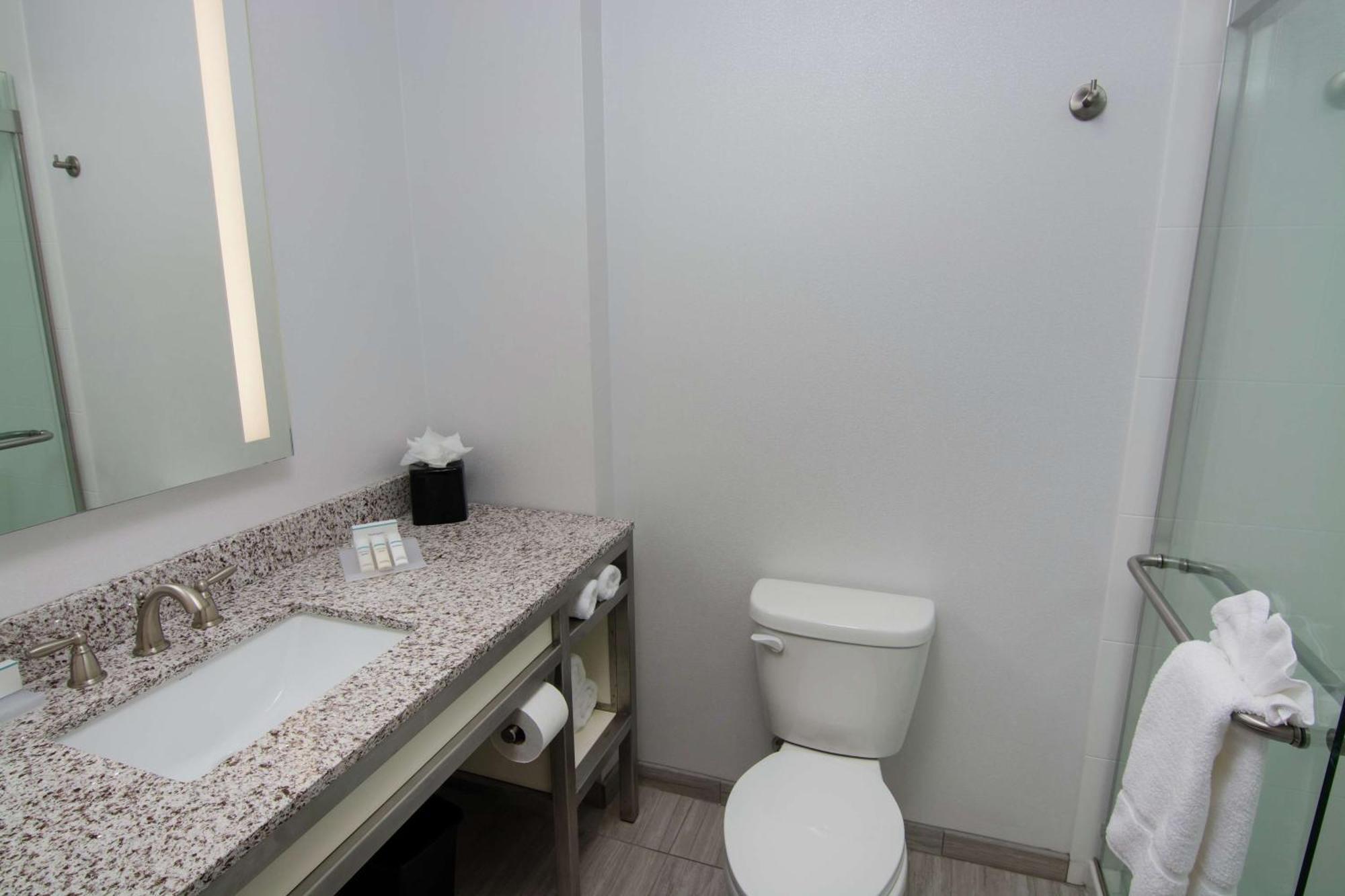 Hilton Garden Inn Tampa Suncoast Parkway Lutz Exterior photo